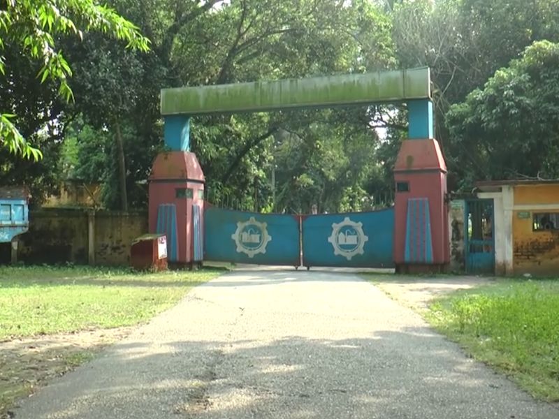 ‘রংপুর চিনিকল’ চালু হচ্ছে আবার, আখ চাষে ঝুঁকছেন স্থানীয় চাষিরা